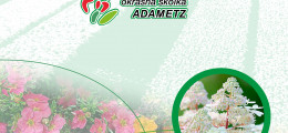 katalog Adametz 2020 (1)-1
